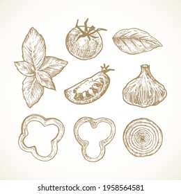 Hand Drawn Vegetables and Herbs Vector Illustrations Collection. Tomato, Basil, Bell Pepper and Onion Rings and Garlic Sketches Set. Natural Food Doodles. Isolated.