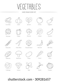  Hand drawn vegetables icons set