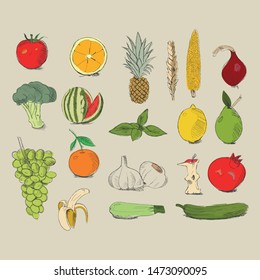 Hand drawn vegetables isolated on white background in unique trendy organic style. Vector illustration for menu design, packaging, cooking book.