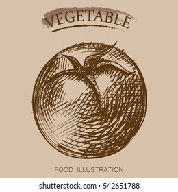 Hand drawn vegetables isolated on beige background. Sketches of rip tomato retro style vector illustration.