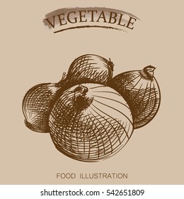 Hand drawn vegetables isolated on beige background. Sketches of onion retro style vector illustration.