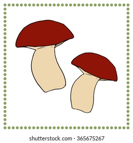 Hand drawn vegetables. Hand drawn  mushroom.