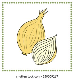 Hand drawn vegetables. Hand drawn onion.