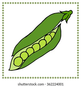 Hand drawn vegetables. Hand drawn peas.