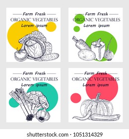 Hand drawn vegetables posters set. Vector