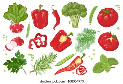 Hand drawn vegetables. Red and green. Vector.