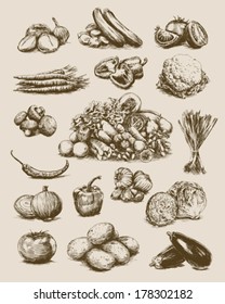 Hand Drawn Vegetables Set