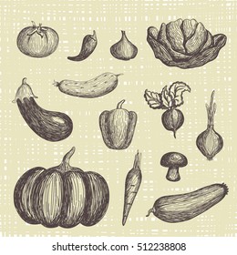 Hand drawn vegetables set