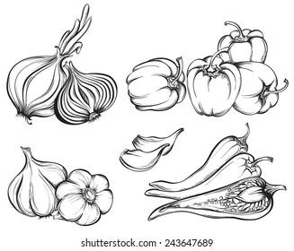 Hand Drawn Vegetables Set. Collection of spices: paprika, chili pepper, garlic, onion isolated on white background. Vector illustration