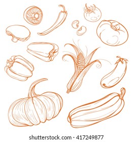 Hand Drawn Vegetables Set. Collection of Vegetables sketch. Vector illustration