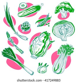 Hand Drawn Vegetables Set. Collection of Vegetables color icon. Vector illustration