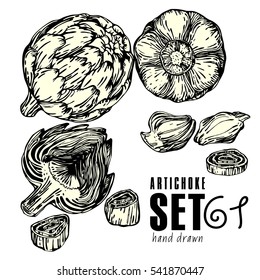Hand Drawn Vegetables Set. Collection of Artichoke sketch. White background black outline vector illustration, stock vector.