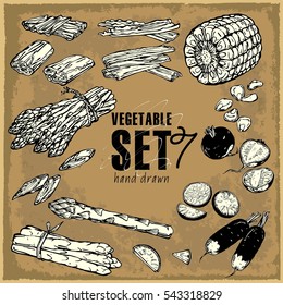 Hand Drawn Vegetables Set. Collection of food sketch. Corn, asparagus, radish, fresh, piece, Abstract brown grunge background of wrapping kraft paper texture vector illustration, stock vector