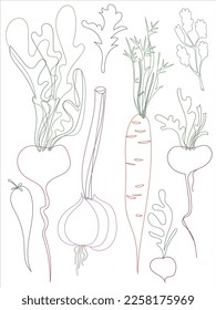 Hand drawn vegetables set. Healthy, fresh food vector illustration