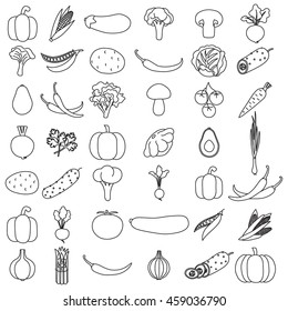 Hand drawn vegetables set on white background. All kinds of vegetables. Graphic art for coloring book or decoration.