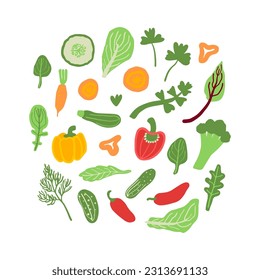 Hand drawn vegetables set. Salad leaves, pepper, cucumber, carrot, parsley, celery, dill, broccoli, spinach, cabbage leaf. Vector illustration.