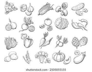 Hand drawn vegetables set. Sketch garden vegetables salad mushroom carrots broccoli potato reddish beetroot farming salad and carrot isolated vector illustration