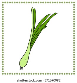 Hand drawn vegetables. Hand drawn spring onion.