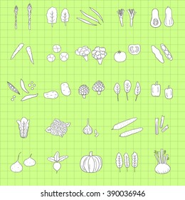 Hand drawn vegetables stickers. Butternut squash, brussels sprouts, fennel, collard, artichoke, cauliflower, beet, tomato, cucumber, pumpkin, broccoli, pepper, maca, potato, spinach.