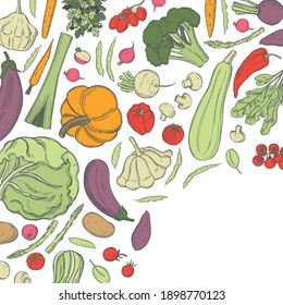 Hand drawn vegetables. Vector background. Sketch  illustration.  