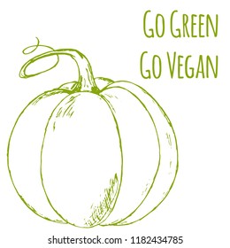 Hand drawn vegetables. Vector illsutration. Vector pumpkin. Go green. Go vegan. Vegan product label. World vegan day. Typography design. Green living.