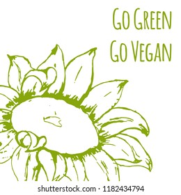 Hand drawn vegetables. Vector illsutration. Vector sunflower. Go green. Go vegan. Vegan product label. World vegan day. Typography design. Green living.