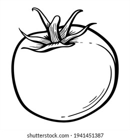 hand drawn vegetables. vektor, icon