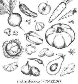 Conjunto de ilustraciones antiguas de verduras dibujadas a mano. Ilustración alimenticia saludable. remolacha, zanahoria, calabaza, col, ajo, patatas, cebolla, pimienta, cuartos de baño, aguacate, jengibre