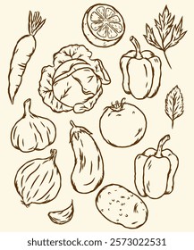 Hand drawn vegetables. Vintage sketch of organic farm products. Harvested tomatoes and broccoli. Isolated mushrooms or onions. Cabbage, corn and potato pencil drawing. Vector vegetarian food collectio