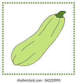 Hand drawn vegetables. Hand drawn zucchini.