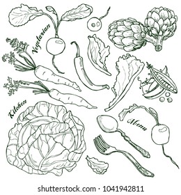 Hand drawn vegetarian soup set in vector