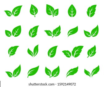 Hand Drawn Veined Green Leaf Icon Eco Set