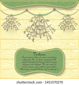 Hand Drawn Vervain Herb Hung on the Rope for Drying under the Shed. 
Hand Drawn Wooden Background. Nameplate with the Latin Name Verbena 
and Text. Leaflet for Traditional Herbal Medicine.