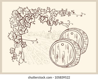 Hand drawn vineyard.