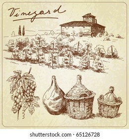 hand drawn vineyard