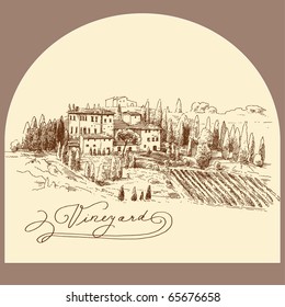 hand drawn vineyard