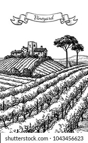 Hand drawn vineyard landscape. Ink sketch. Vintage style vector illustration.