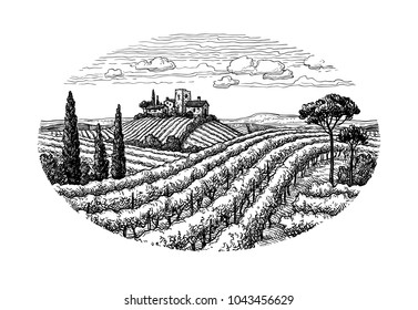 Paisaje de viñedos dibujado a mano. Esbozo de tinta aislado en fondo blanco. Ilustración vectorial de estilo vintage.