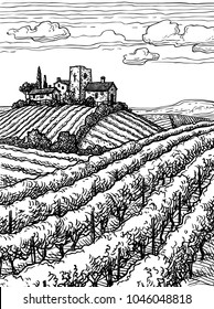 Hand drawn vineyard landscape. Ink sketch. Vintage style vector illustration.