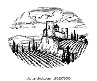 Hand drawn vineyard landscape. Ink sketch isolated on white background. Vintage style vector illustration.