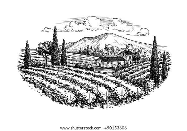Hand drawn vineyard landscape.\
Isolated on white background. Vintage style vector\
illustration.