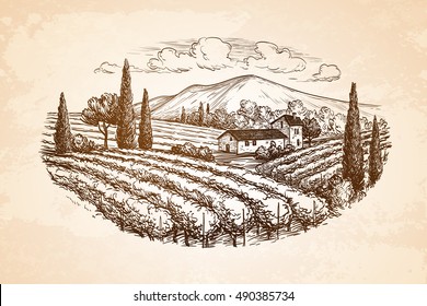 Hand drawn vineyard landscape on old paper background. Vintage style vector illustration.
