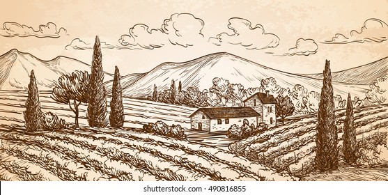 Hand drawn vineyard landscape on old paper background. Vintage style vector illustration.