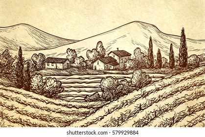 Hand drawn vineyard landscape on old paper background. Vintage style vector illustration.