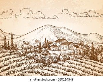 Hand drawn vineyard landscape on old paper background. Vintage style vector illustration.