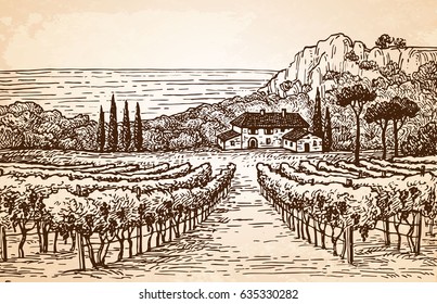 Hand drawn vineyard landscape on old paper background. Rural scenery. Vintage style vector illustration.