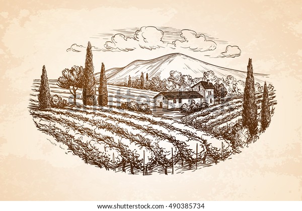 Hand drawn vineyard landscape on old
paper background. Vintage style vector
illustration.