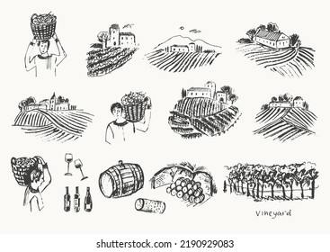 Hand drawn vineyard sketch. Grape plants fields landscape illustration. Vineyard and winery buildings. Wine making, bottle label, wine tasting event design background.