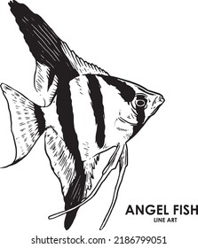 Hand drawn vintage angel fish premium vector