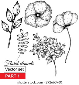 Hand Drawn vintage background with floral elements